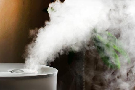 果蔬貯藏保鮮的基礎知識(二)