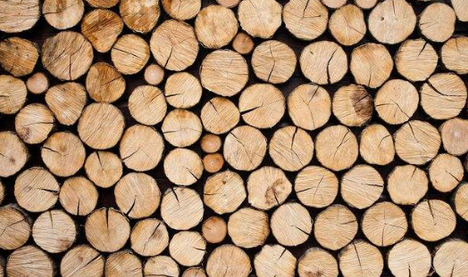 木材烘干除濕機哪個牌子好，怎么選擇