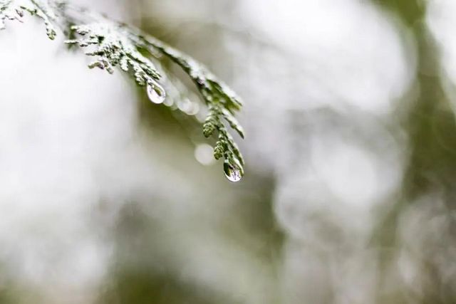 空氣濕度大帶來的危害有哪些，你知道嗎？