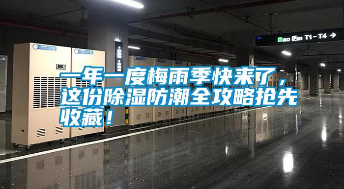 一年一度梅雨季快來了，這份除濕防潮全攻略搶先收藏！