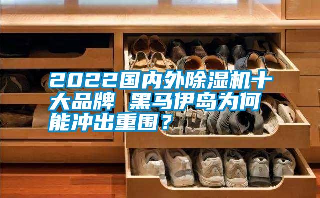 2022國內外除濕機十大品牌 黑馬伊島為何能沖出重圍？