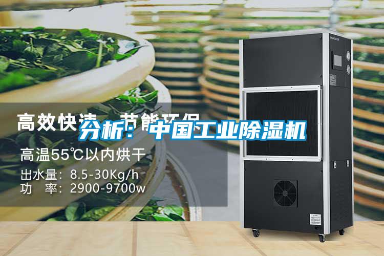 分析:中國工業(yè)除濕機(jī)