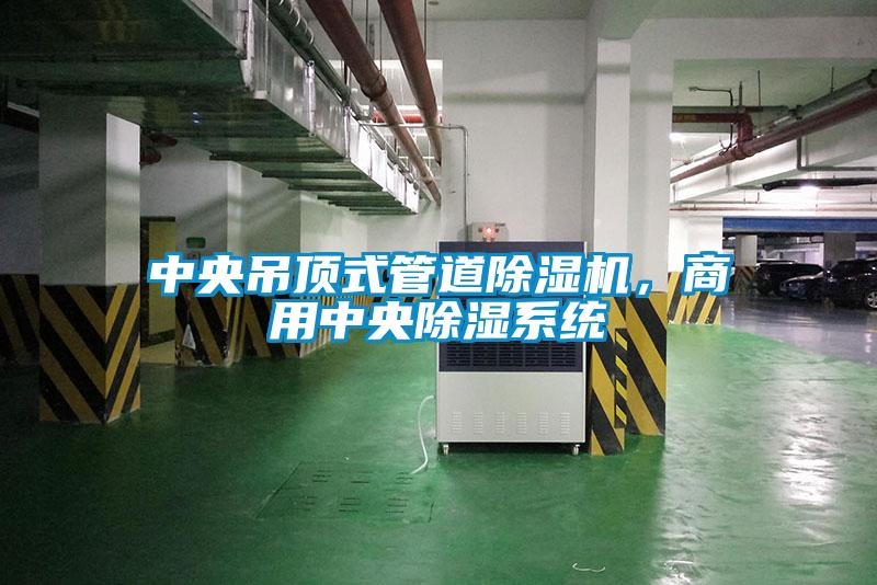 中央吊頂式管道除濕機(jī),商用中央除濕系統(tǒng)