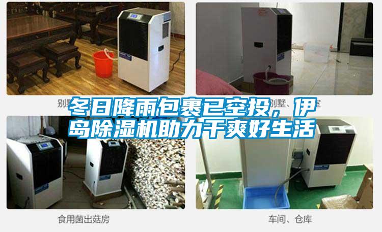 冬日降雨包裹已空投,伊島除濕機助力干爽好生活