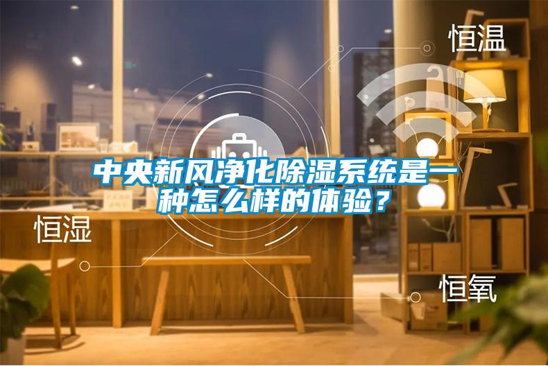 中央新風凈化除濕系統(tǒng)是一種怎么樣的體驗?