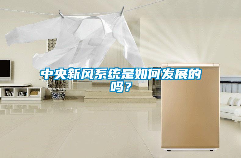 中央新風(fēng)系統(tǒng)是如何發(fā)展的嗎?