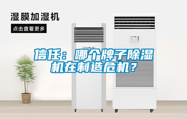 信任:哪個牌子除濕機在制造危機?