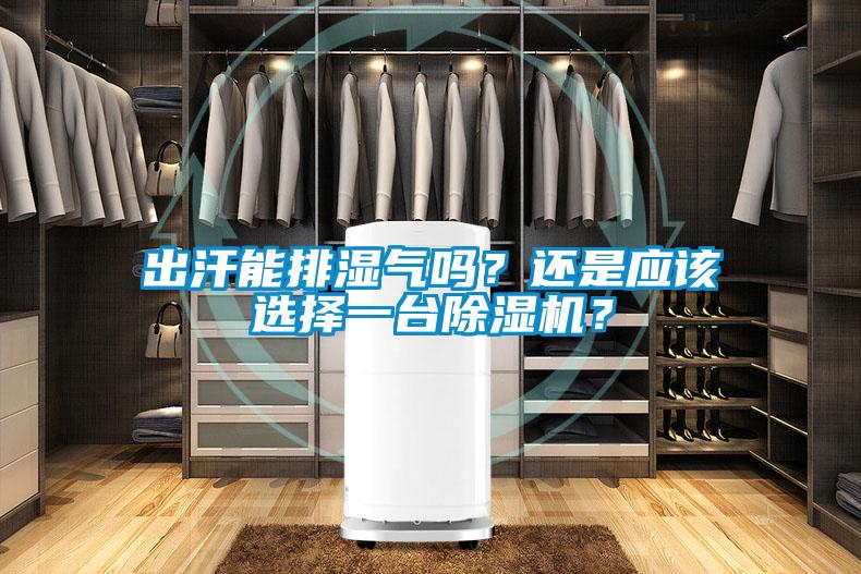 出汗能排濕氣嗎？還是應(yīng)該選擇一臺除濕機？