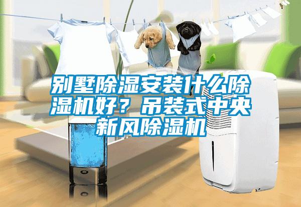 別墅除濕安裝什么除濕機(jī)好？吊裝式中央新風(fēng)除濕機(jī)