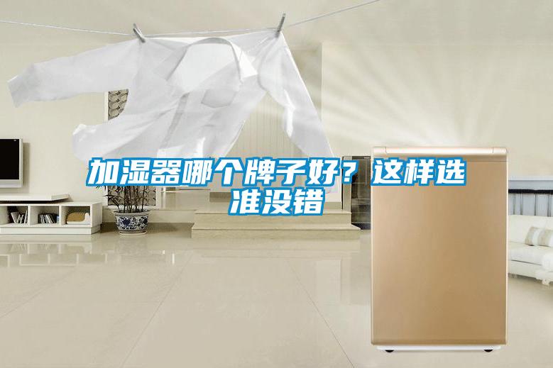 加濕器哪個牌子好?這樣選準沒錯
