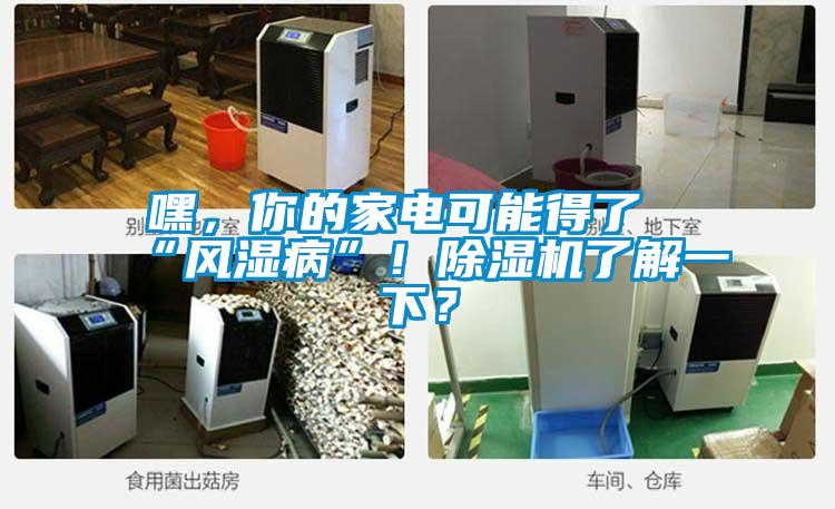 嘿,你的家電可能得了“風(fēng)濕病”!除濕機了解一下?