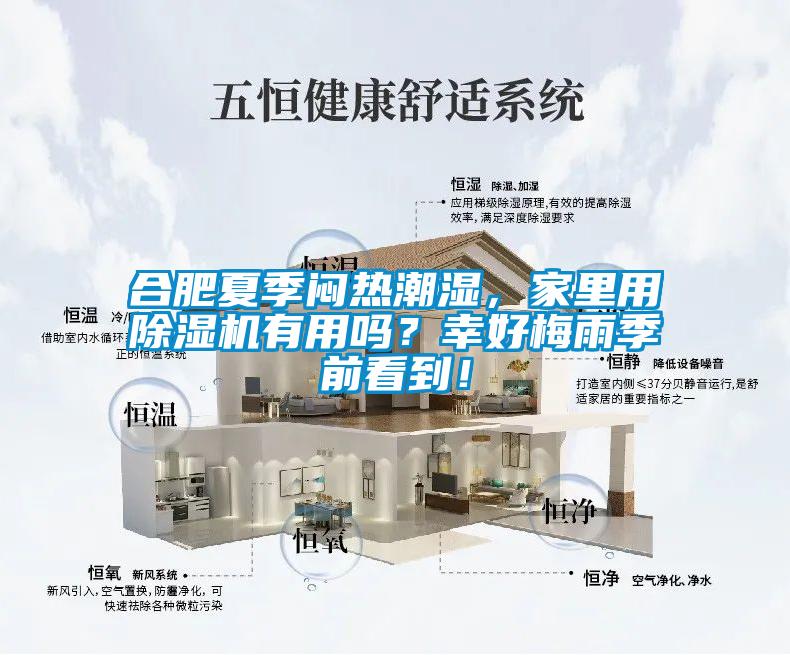 合肥夏季悶熱潮濕，家里用除濕機有用嗎？幸好梅雨季前看到！