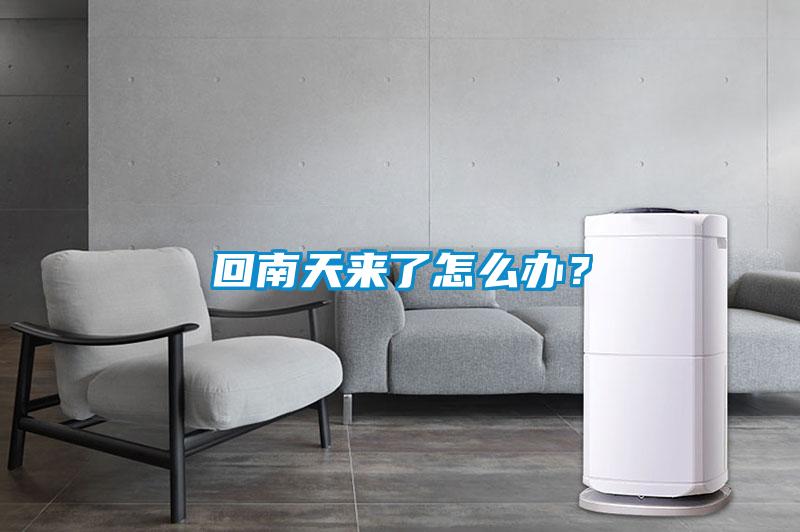回南天來了怎么辦？