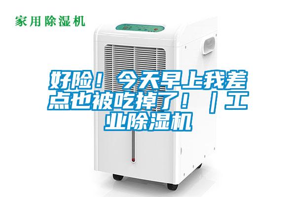 好險(xiǎn)!今天早上我差點(diǎn)也被吃掉了!|工業(yè)除濕機(jī)