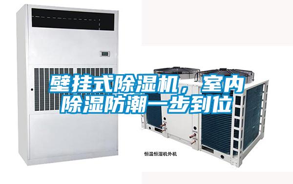 壁掛式除濕機(jī)，室內(nèi)除濕防潮一步到位
