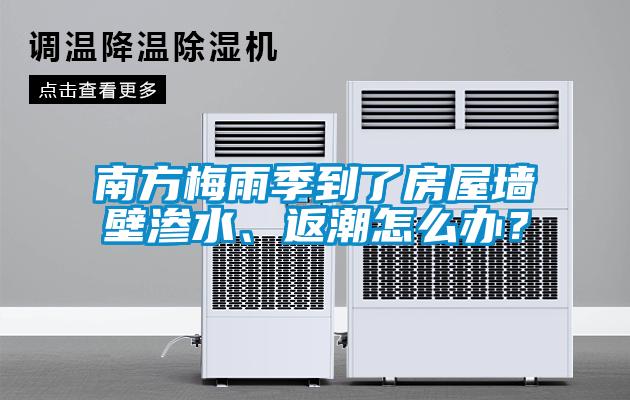 南方梅雨季到了房屋墻壁滲水、返潮怎么辦？
