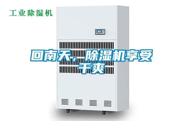 回南天,除濕機享受干爽