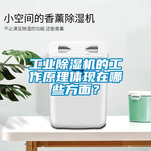 工業(yè)除濕機(jī)的工作原理體現(xiàn)在哪些方面?