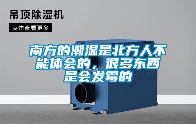 南方的潮濕是北方人不能體會的，很多東西是會發霉的