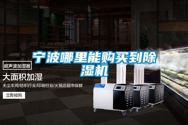 寧波哪里能購(gòu)買到除濕機(jī)