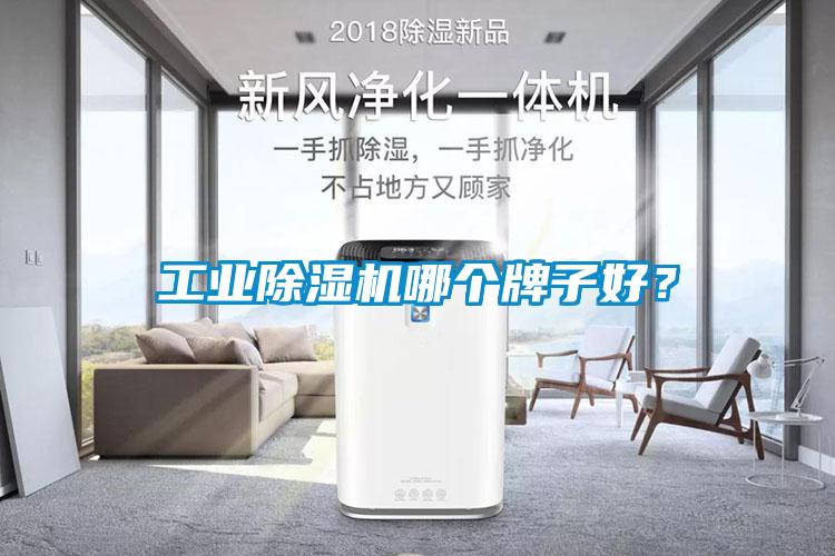 工業(yè)除濕機哪個牌子好？
