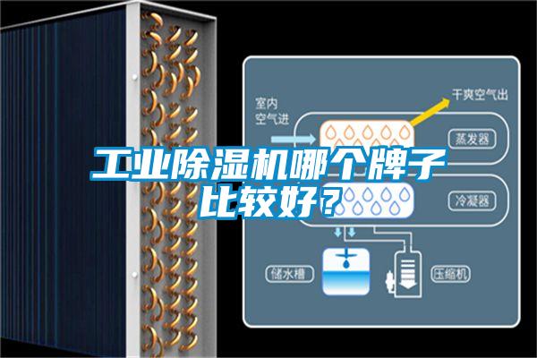 工業(yè)除濕機哪個牌子比較好？