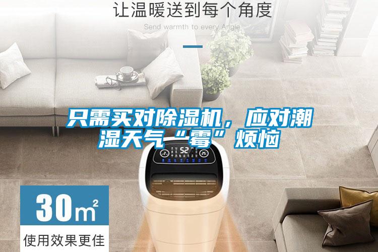 只需買對除濕機(jī)，應(yīng)對潮濕天氣“霉”煩惱