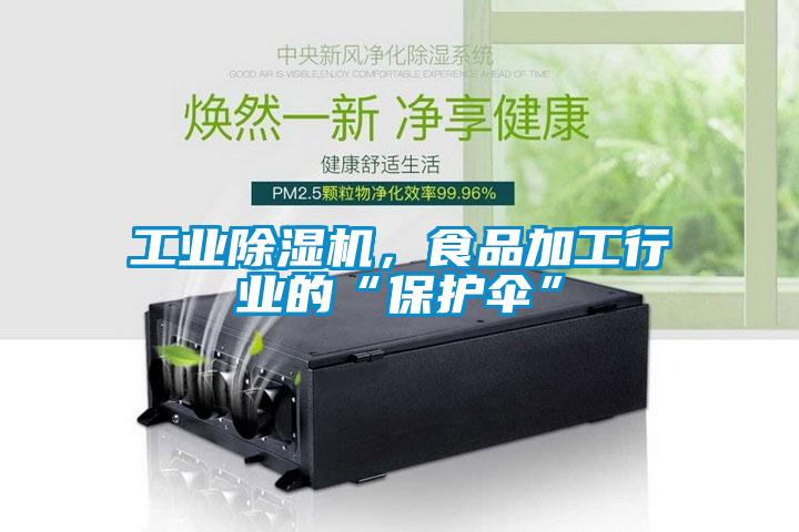 工業(yè)除濕機,食品加工行業(yè)的“保護傘”