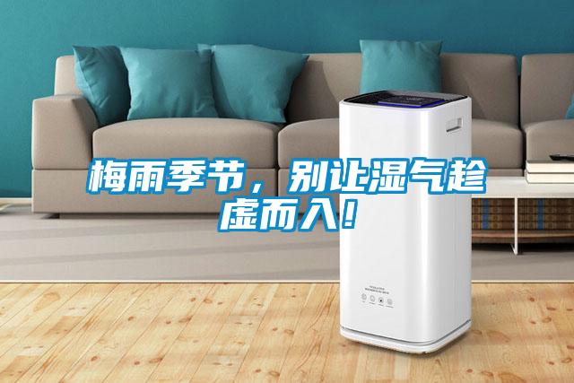 梅雨季節，別讓濕氣趁虛而入！