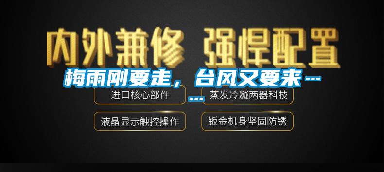 梅雨剛要走，臺風又要來……