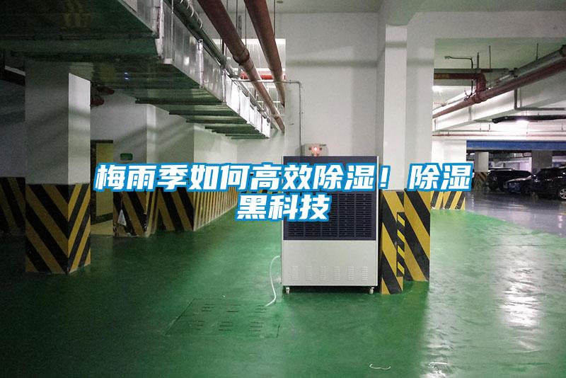 梅雨季如何高效除濕！除濕黑科技