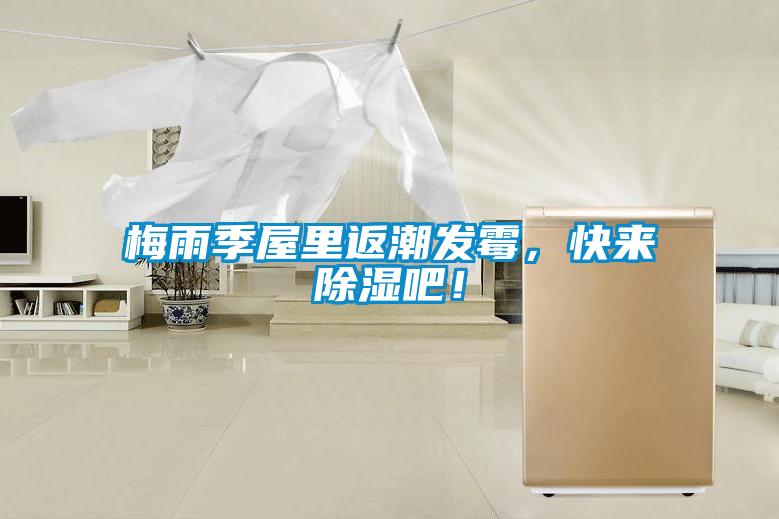 梅雨季屋里返潮發霉，快來除濕吧！