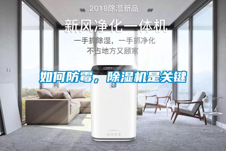 如何防霉，除濕機是關鍵