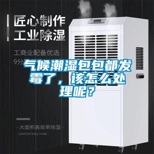 氣候潮濕包包都發霉了，該怎么處理呢？