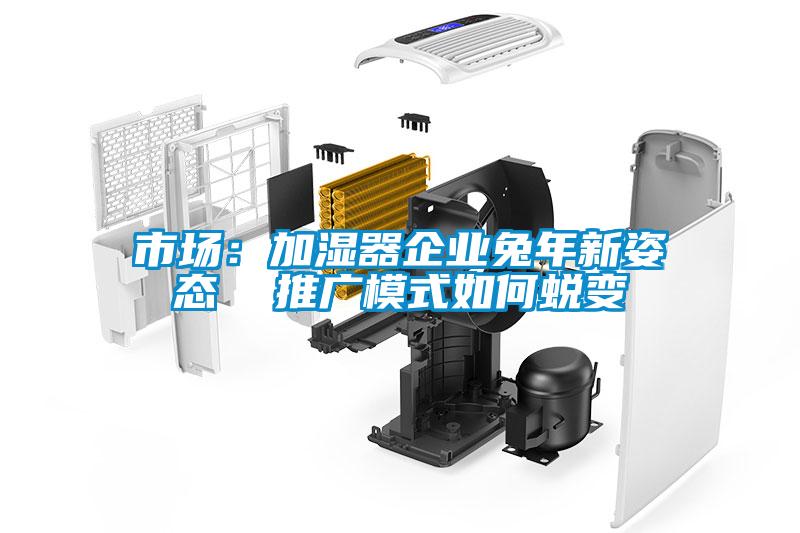 市場:加濕器企業(yè)兔年新姿態(tài) 推廣模式如何蛻變