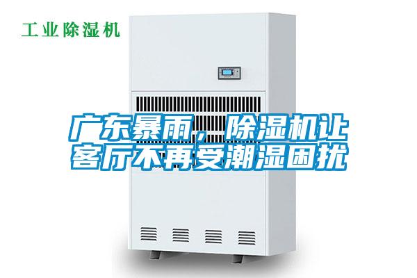 廣東暴雨,除濕機讓客廳不再受潮濕困擾