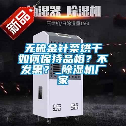 無硫金針菜烘干如何保持品相？不發(fā)黑？_除濕機(jī)廠家