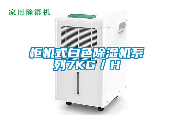柜機式白色除濕機系列7KG/H
