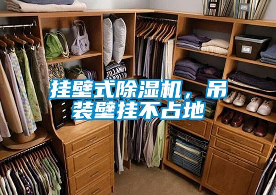 掛壁式除濕機(jī)，吊裝壁掛不占地