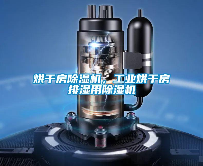 烘干房除濕機,工業(yè)烘干房排濕用除濕機