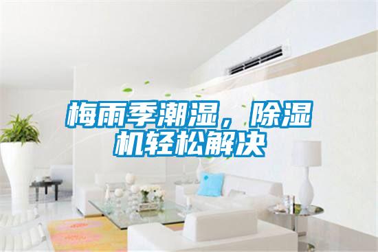 梅雨季潮濕,除濕機(jī)輕松解決