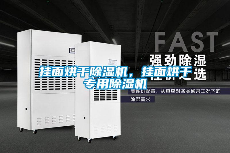 掛面烘干除濕機(jī)，掛面烘干專用除濕機(jī)