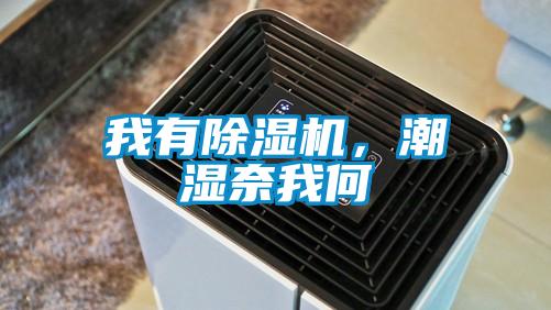 我有除濕機(jī),潮濕奈我何