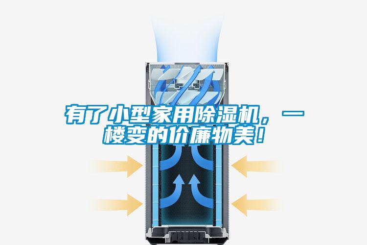 有了小型家用除濕機(jī),一樓變的價廉物美!