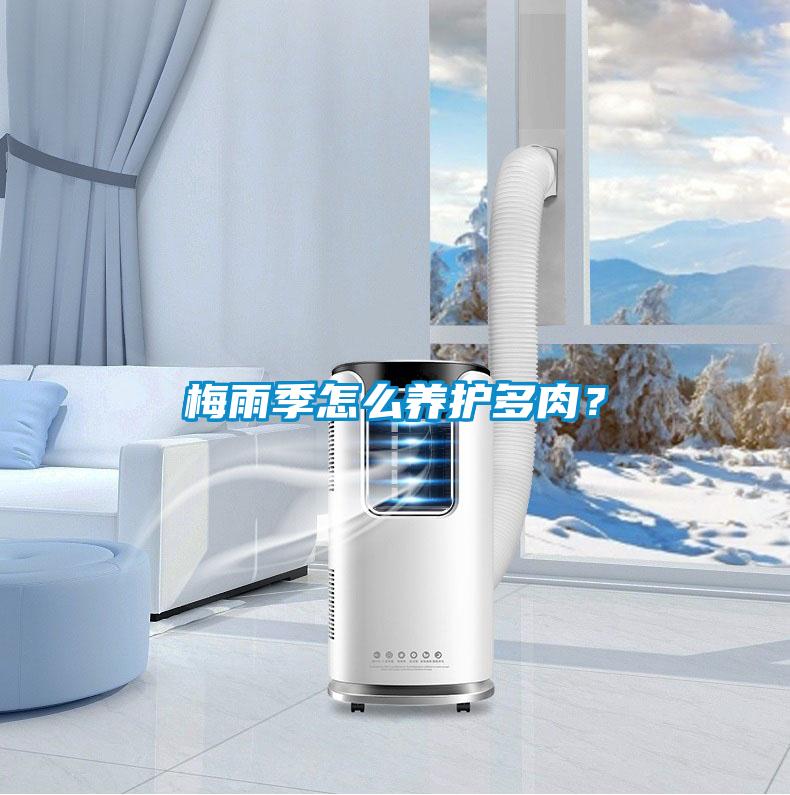 梅雨季怎么養(yǎng)護(hù)多肉？