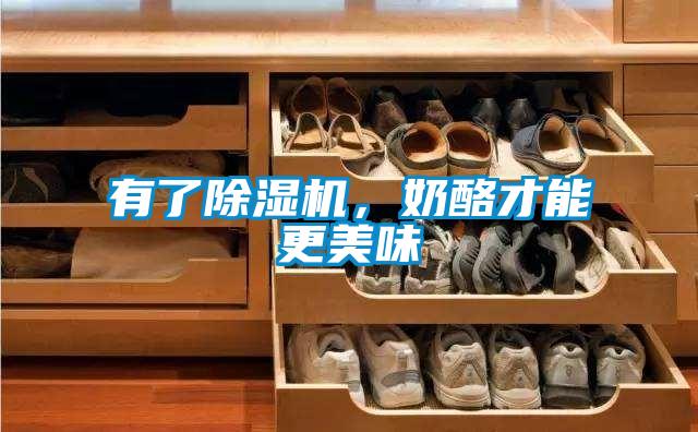 有了除濕機,奶酪才能更美味