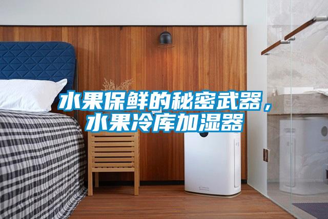 水果保鮮的秘密武器，水果冷庫(kù)加濕器