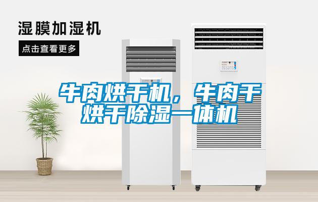 牛肉烘干機，牛肉干烘干除濕一體機