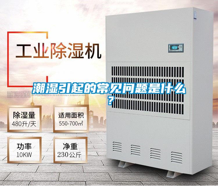 潮濕引起的常見問題是什么？