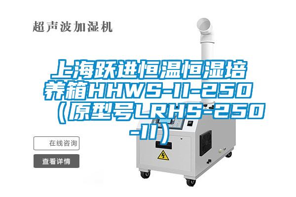 上海躍進恒溫恒濕培養箱HHWS-II-250(原型號LRHS-250-II)